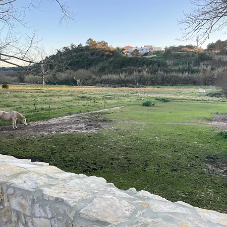 Cozy In Historic Downtown - Farm Views - Walk To Casa de Férias Foz do Arelho