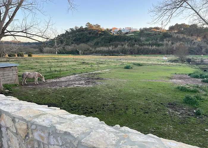 Cozy In Historic Downtown - Farm Views - Walk To Дом отдыха Фош-ду-Арелью